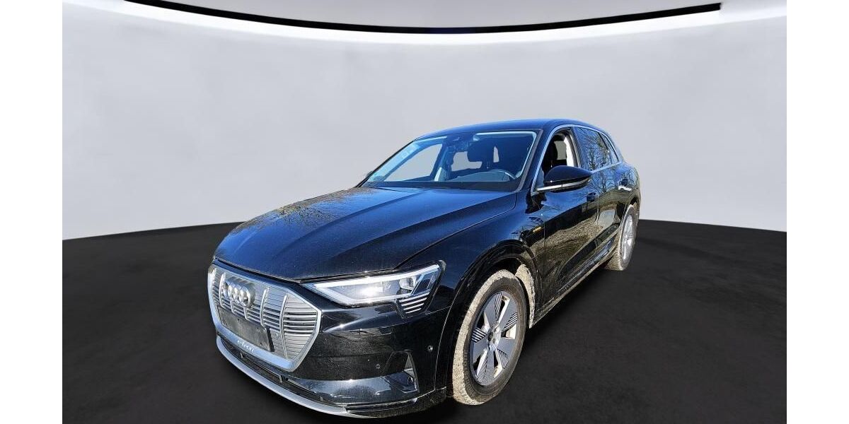 Audi e-tron 92.169 km 29.785 &euro; Hagen 58091
