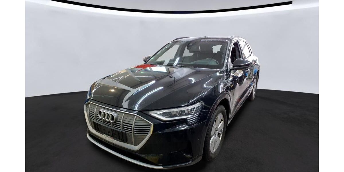 Audi e-tron 41.955 km 34.747 &euro; Hagen 58091