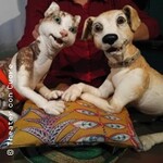 Mau und Wiau