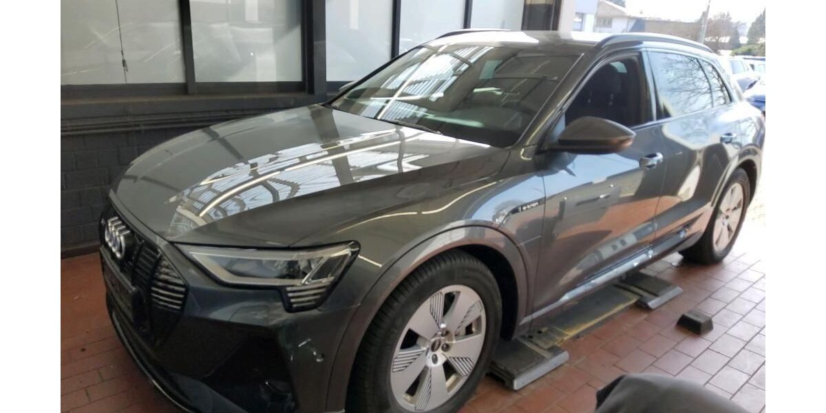 Audi e-tron 68.319 km 34.942 &euro; Hagen 58091