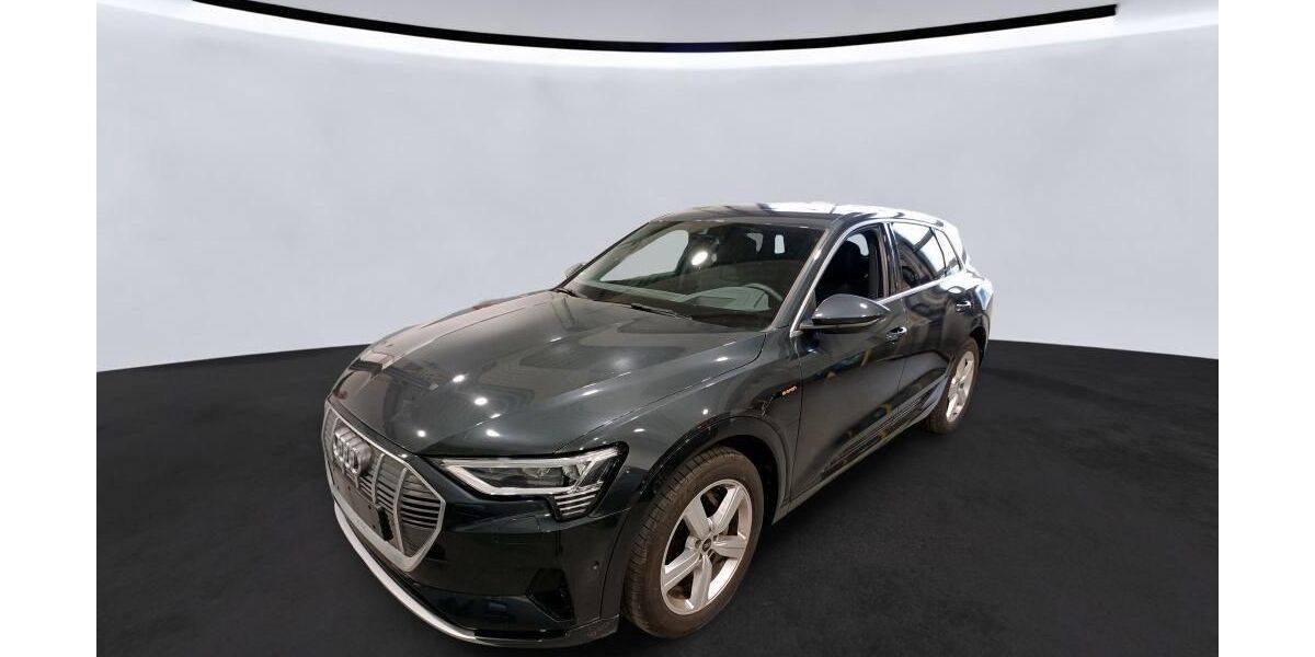 Audi e-tron 13.255 km 40.946 &euro; Hagen 58091