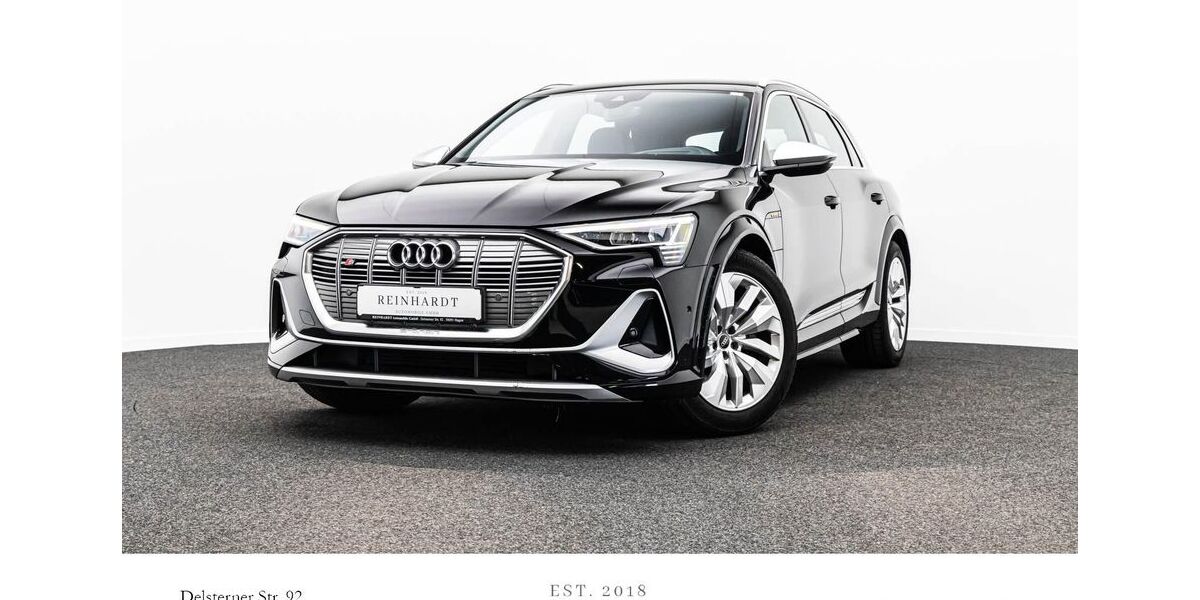 Audi e-tron 90.225 km 36.000 &euro; Hagen 58091