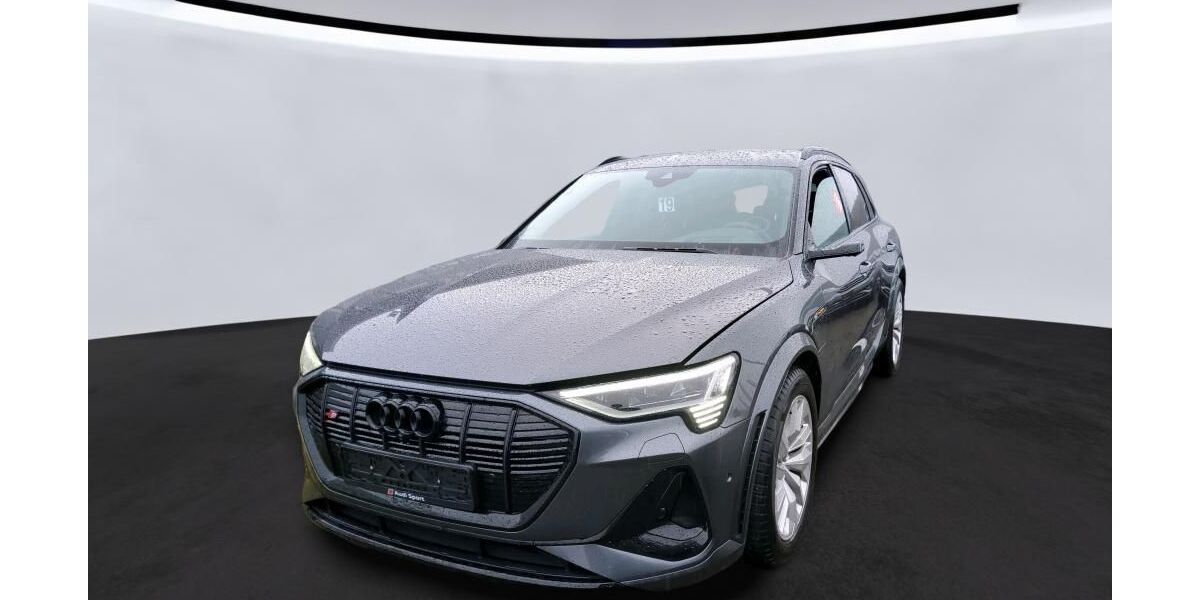 Audi e-tron 48.761 km 40.945 &euro; Hagen 58091