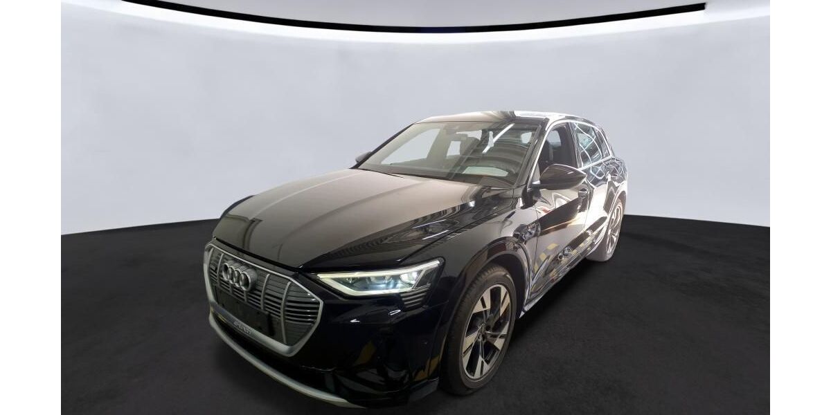 Audi e-tron 90.713 km 31.885 &euro; Hagen 58091
