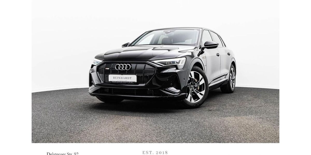 Audi e-tron 29.138 km 31.070 &euro; Hagen 58091